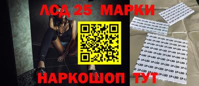 МДПВ Камышлов
