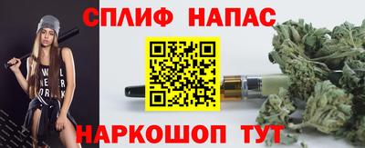прущие грибы Кандалакша
