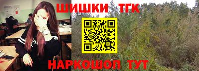 МДПВ Камышлов