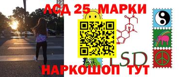 прущие грибы Кандалакша