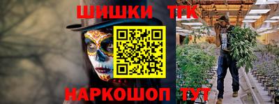 МДПВ Камышлов