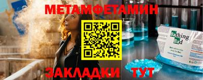 прущие грибы Кандалакша
